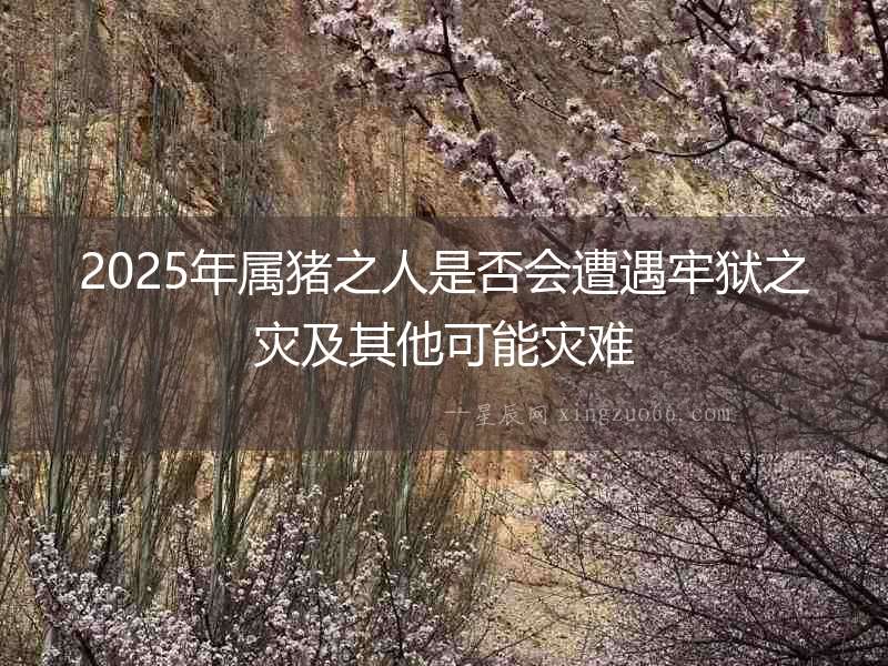 2025年屬豬之人是否會(huì)遭遇牢獄之災(zāi)及其他可能災(zāi)難