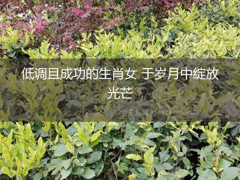 低調(diào)且成功的生肖女 于歲月中綻放光芒