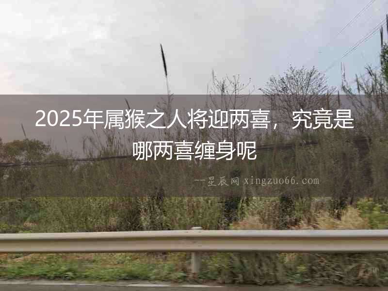 2025年屬猴之人將迎兩喜，究竟是哪兩喜纏身呢