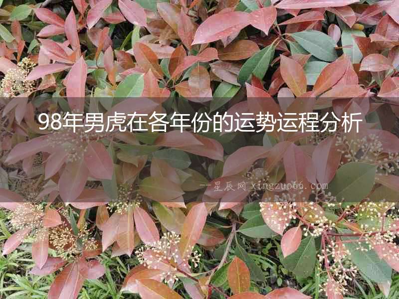 98年男虎在各年份的運(yùn)勢運(yùn)程分析