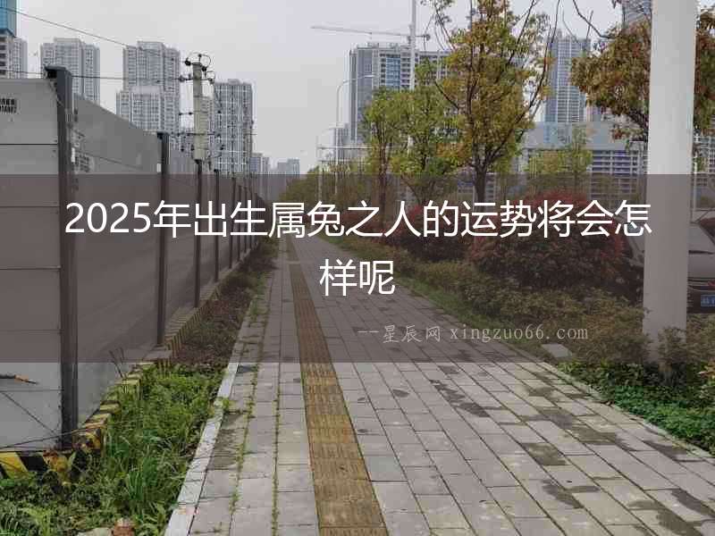 2025年出生屬兔之人的運勢將會怎樣呢