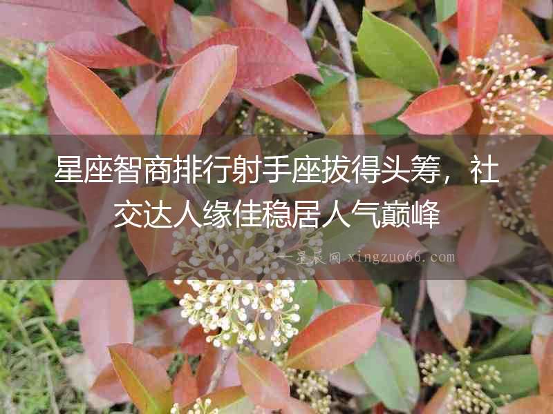 星座智商排行射手座拔得頭籌，社交達人緣佳穩居人氣巔峰