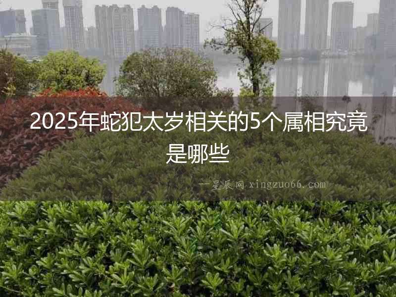 2025年蛇犯太歲相關的5個屬相究竟是哪些