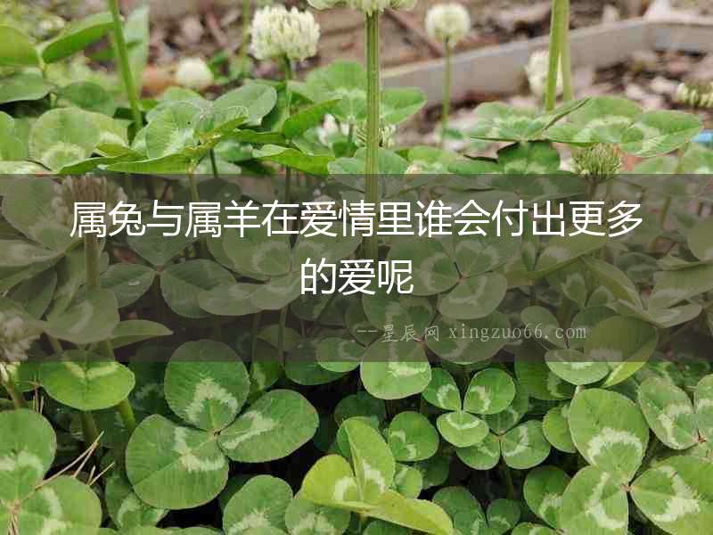 屬兔與屬羊在愛情里誰會付出更多的愛呢
