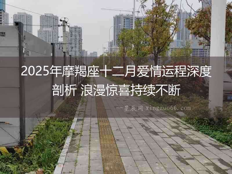 2025年摩羯座十二月愛情運程深度剖析 浪漫驚喜持續不斷