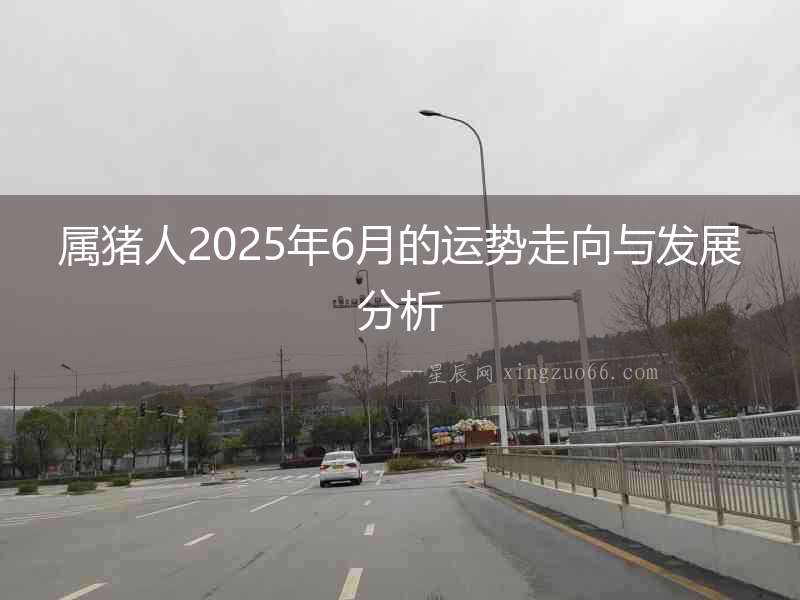 屬豬人2025年6月的運(yùn)勢走向與發(fā)展分析