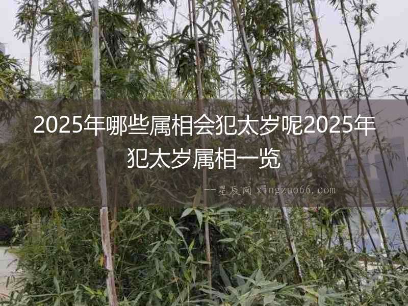 2025年哪些屬相會犯太歲呢2025年犯太歲屬相一覽