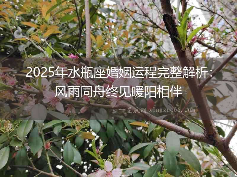 2025年水瓶座婚姻運程完整解析：風雨同舟終見暖陽相伴