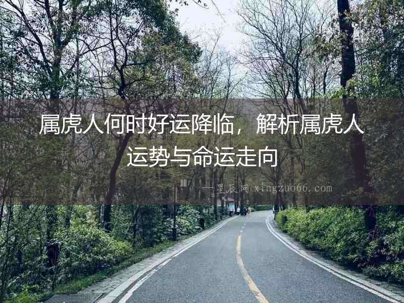 屬虎人何時(shí)好運(yùn)降臨，解析屬虎人運(yùn)勢與命運(yùn)走向