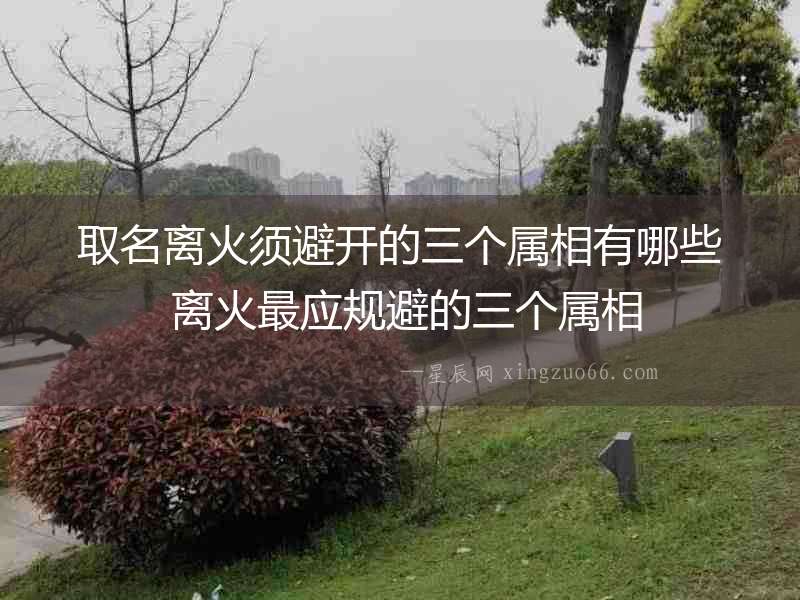 取名離火須避開的三個屬相有哪些 離火最應規(guī)避的三個屬相