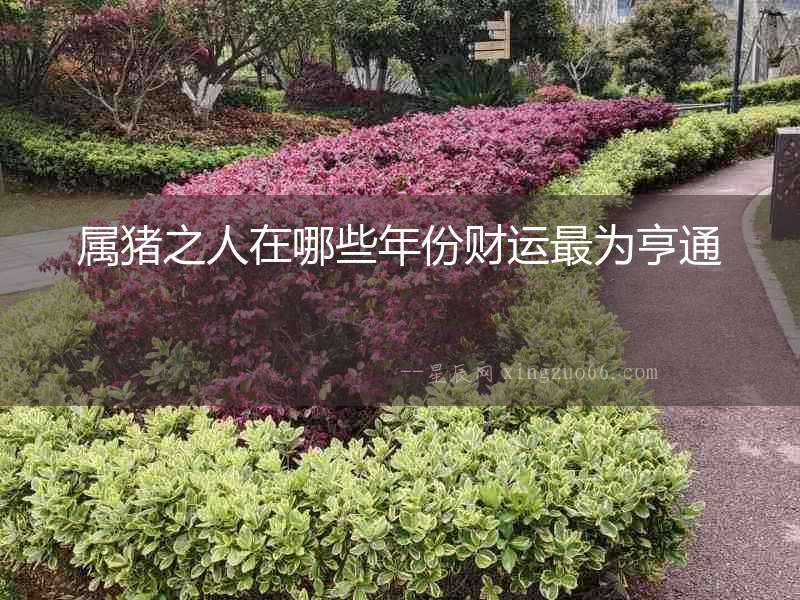 屬豬之人在哪些年份財(cái)運(yùn)最為亨通