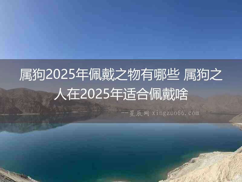 屬狗2025年佩戴之物有哪些 屬狗之人在2025年適合佩戴啥