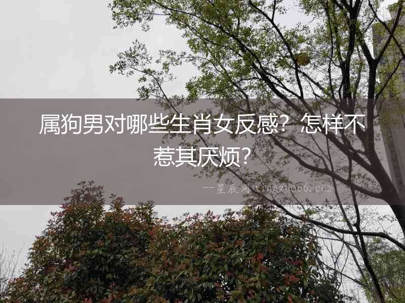 屬狗男對(duì)哪些生肖女反感？怎樣不惹其厭煩？