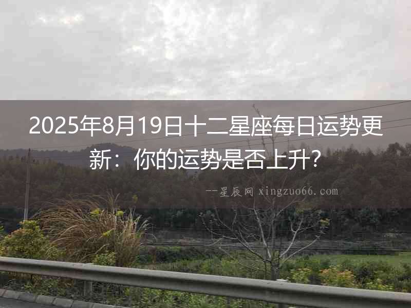 2025年8月19日十二星座每日運勢更新：你的運勢是否上升？