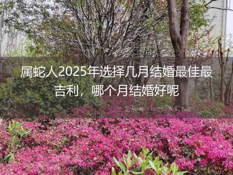 屬蛇人2025年選擇幾月結婚最佳最吉利，哪個月結婚好呢