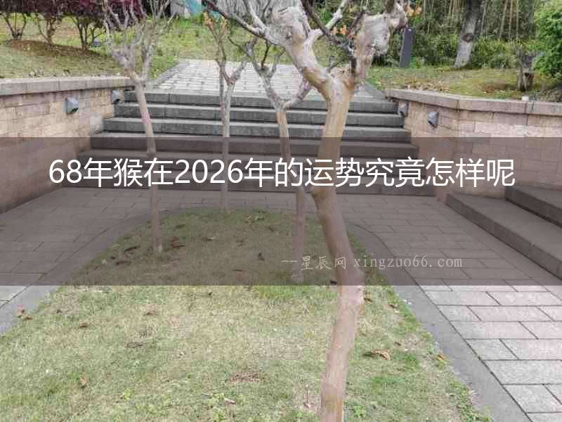 68年猴在2026年的運勢究竟怎樣呢