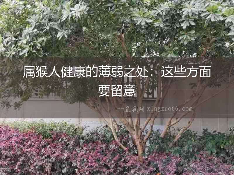 屬猴人健康的薄弱之處：這些方面要留意