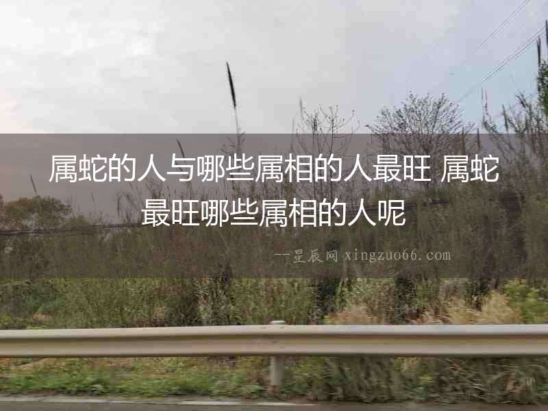 屬蛇的人與哪些屬相的人最旺 屬蛇最旺哪些屬相的人呢