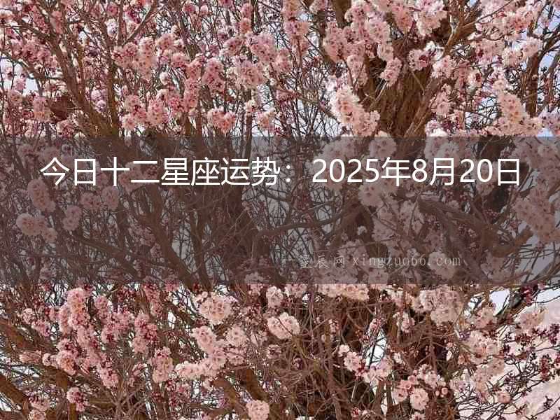 今日十二星座運勢：2025年8月20日