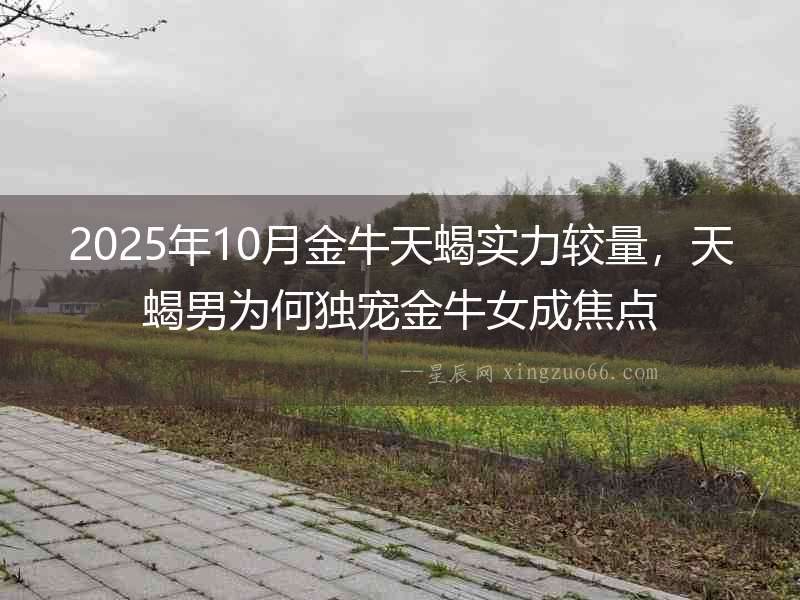 2025年10月金牛天蝎實(shí)力較量，天蝎男為何獨(dú)寵金牛女成焦點(diǎn)