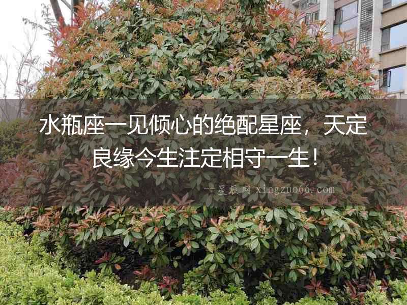 水瓶座一見傾心的絕配星座，天定良緣今生注定相守一生！