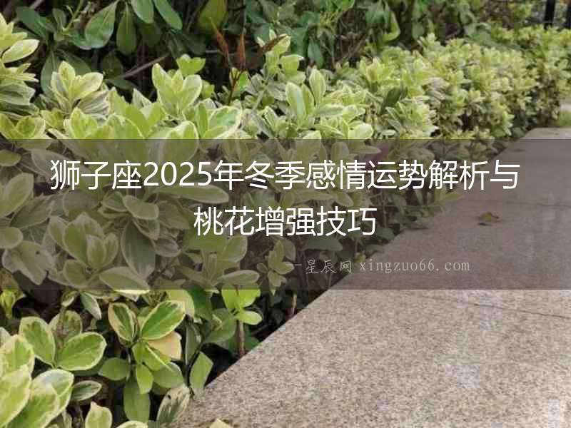 獅子座2025年冬季感情運勢解析與桃花增強技巧