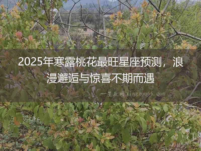 2025年寒露桃花最旺星座預(yù)測，浪漫邂逅與驚喜不期而遇