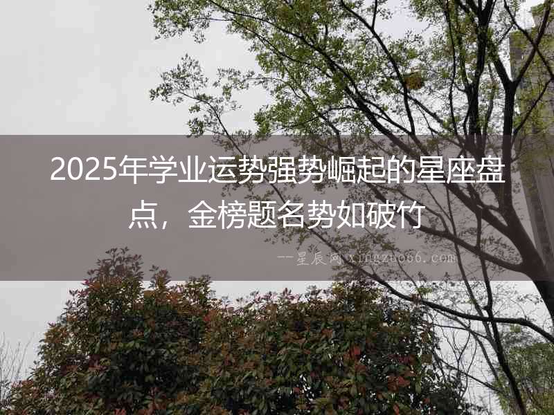2025年學業運勢強勢崛起的星座盤點，金榜題名勢如破竹