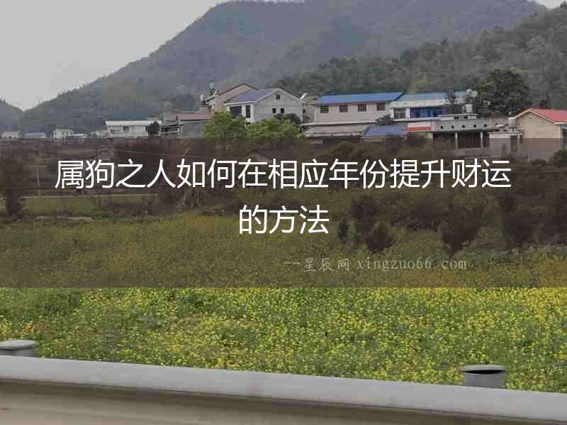 屬狗之人如何在相應(yīng)年份提升財(cái)運(yùn)的方法