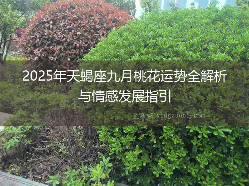 2025年天蝎座九月桃花運(yùn)勢(shì)全解析與情感發(fā)展指引
