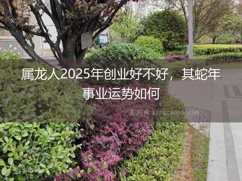 屬龍人2025年創業好不好，其蛇年事業運勢如何