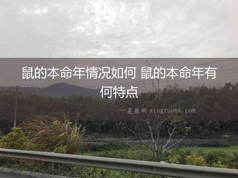 鼠的本命年情況如何 鼠的本命年有何特點