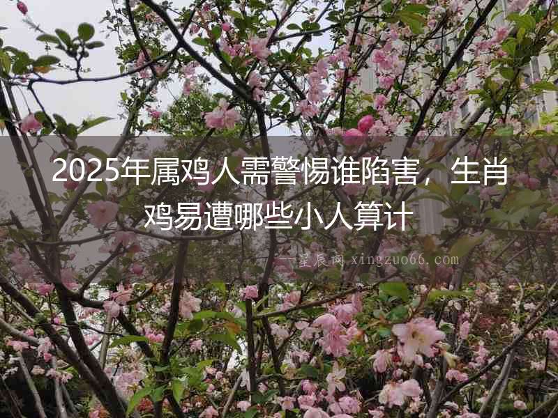 2025年屬雞人需警惕誰陷害，生肖雞易遭哪些小人算計