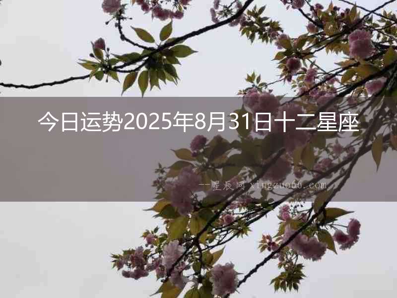 今日運勢2025年8月31日十二星座