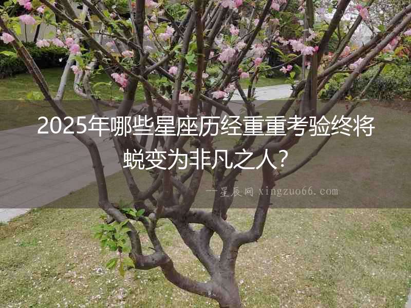 2025年哪些星座歷經重重考驗終將蛻變為非凡之人？
