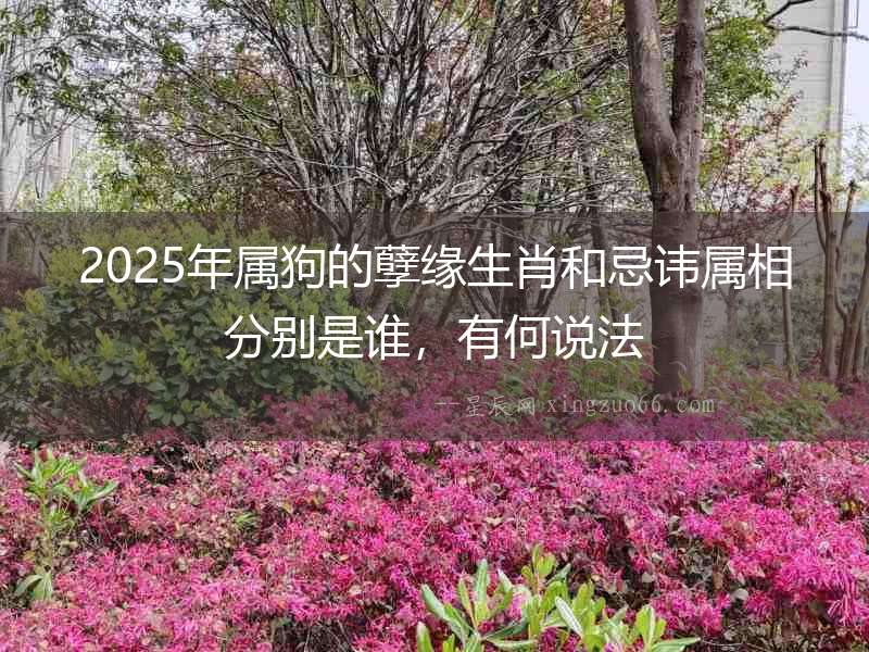 2025年屬狗的孽緣生肖和忌諱屬相分別是誰(shuí)，有何說(shuō)法