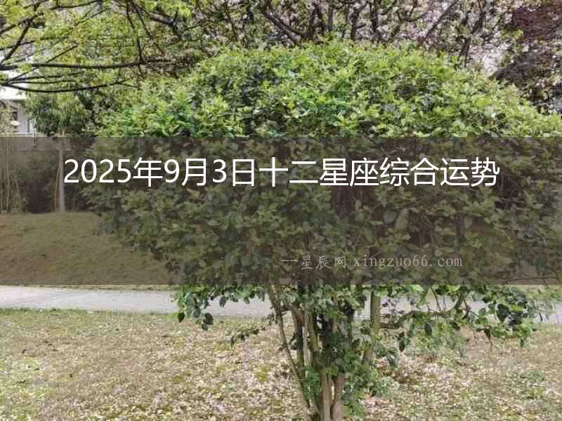 2025年9月3日十二星座綜合運勢