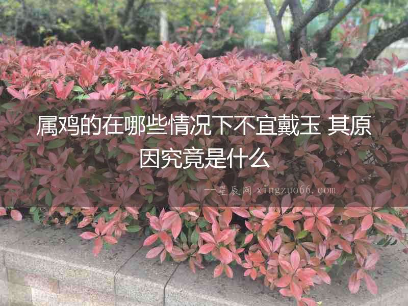 屬雞的在哪些情況下不宜戴玉 其原因究竟是什么