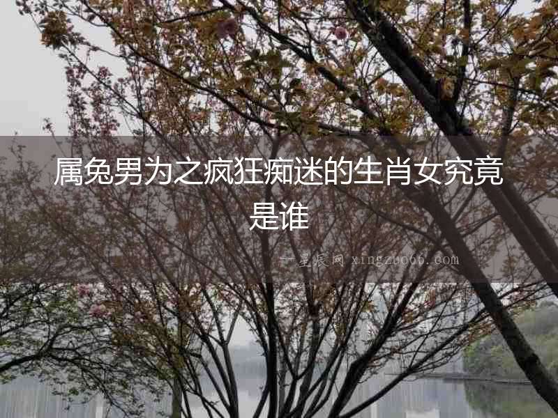 屬兔男為之瘋狂癡迷的生肖女究竟是誰