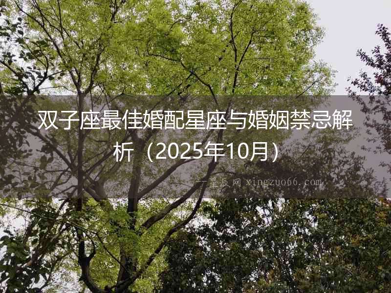 雙子座最佳婚配星座與婚姻禁忌解析（2025年10月）