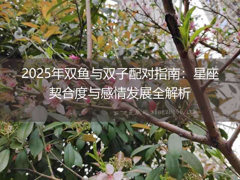 2025年雙魚與雙子配對指南：星座契合度與感情發展全解析