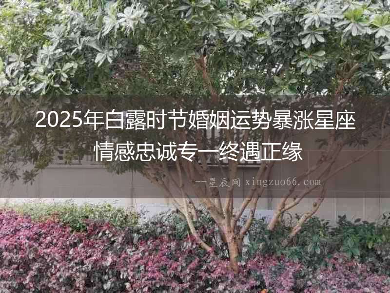 2025年白露時節婚姻運勢暴漲星座 情感忠誠專一終遇正緣