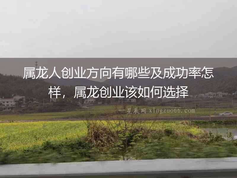 屬龍人創業方向有哪些及成功率怎樣，屬龍創業該如何選擇