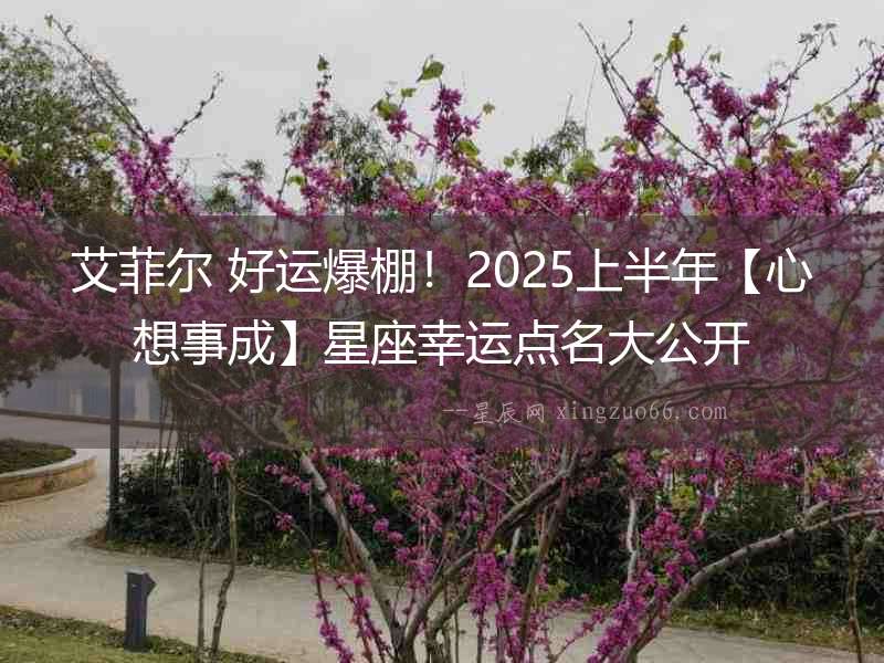 艾菲爾 好運爆棚！2025上半年【心想事成】星座幸運點名大公開