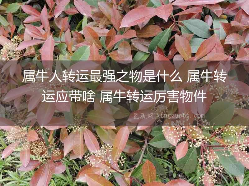 屬牛人轉運最強之物是什么 屬牛轉運應帶啥 屬牛轉運厲害物件