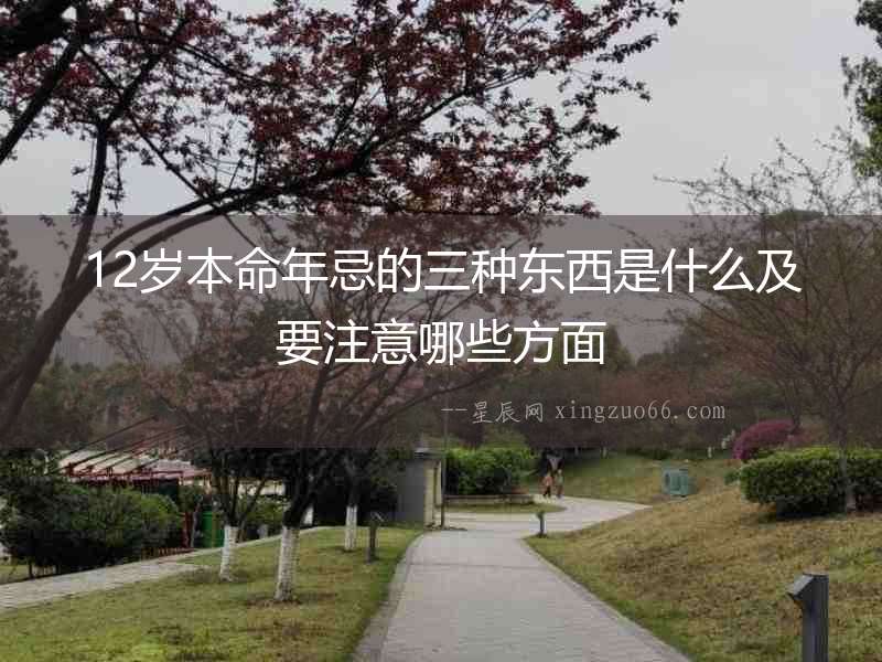 12歲本命年忌的三種東西是什么及要注意哪些方面