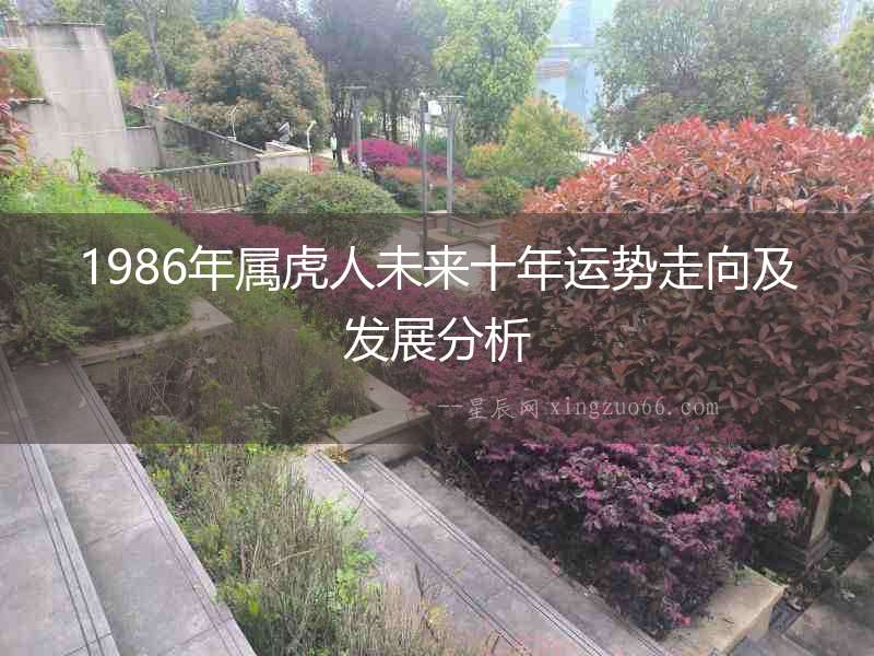 1986年屬虎人未來十年運勢走向及發展分析
