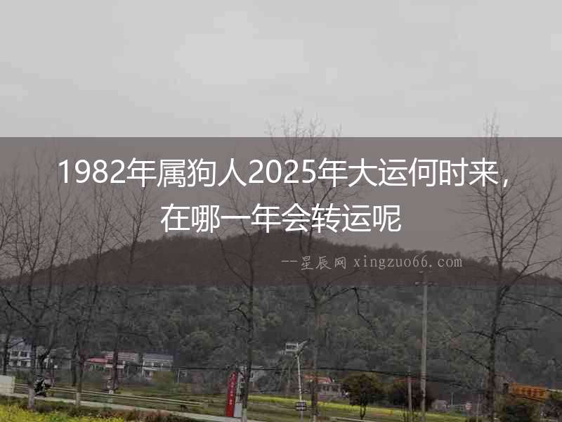 1982年屬狗人2025年大運何時來，在哪一年會轉運呢