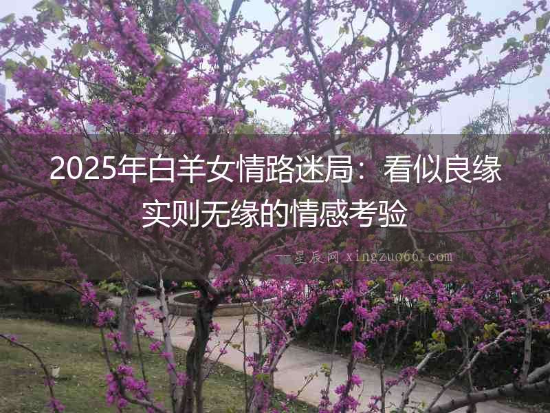 2025年白羊女情路迷局：看似良緣實則無緣的情感考驗