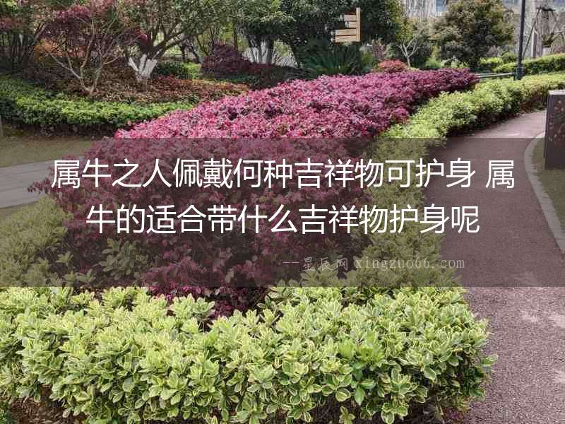 屬牛之人佩戴何種吉祥物可護身 屬牛的適合帶什么吉祥物護身呢